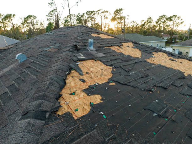 Best Roof Ventilation Installation  in Listoga, CA